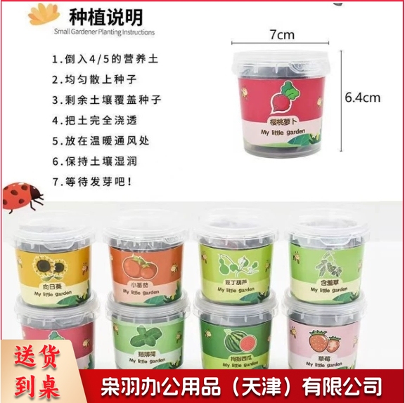 儿童种植小盆栽太阳花向日葵草莓花种籽子植物生长观察蔬菜种子（小塑罐）-