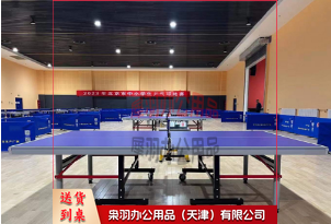 HJPT009乒乓球台室内带轮移动乒乓球桌比赛专用球台--