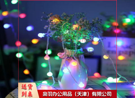 LED灯串户外露营灯圆球小彩灯串帐篷气氛灯节日生日装饰灯串灯闪灯 10米电池款-