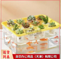 水培育苗箱--