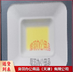 LED室外投光灯 100W 白光-