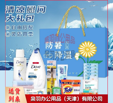 防暑降温大礼包LOGO夏季高温慰问品员工福利用品劳保清凉套装 防暑降温礼盒装(套装二) 背包/箱具