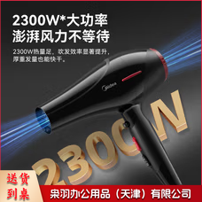 美的（Midea）1亿负离子电吹风 家用/发廊吹风机--