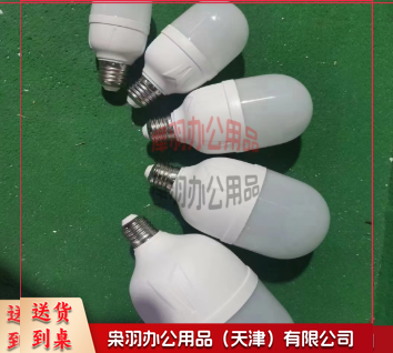 节能灯泡 20W-