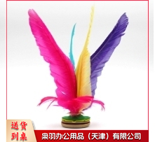 大花毽 踢毽子  10只为一组--