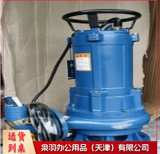 草坪喷淋潜水泵-