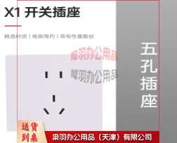 10A五孔插座-