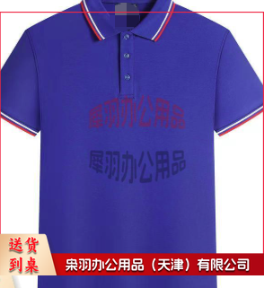 T恤  定制工作服刺绣短袖polo衫印logo-