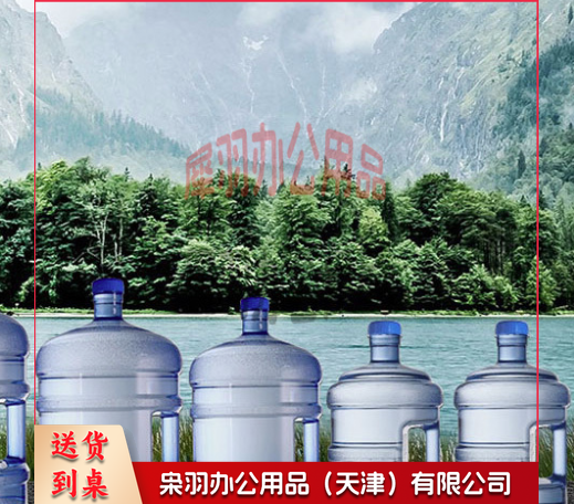 10L PET水桶纯净水桶户外桶单位：个-