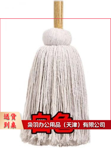 （5件起拍）白色墩布---