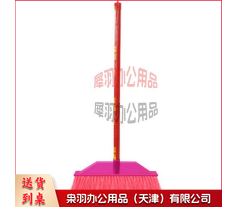 SB-0318 环卫物业学校硬毛扫把笤帚 单个木柄塑料丝扫把 红直杆硬毛窄头(10个装)-
