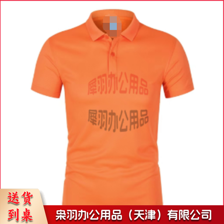 文化衫 T恤 POLO衫 半袖 可定制 具体定制内容联系客服-