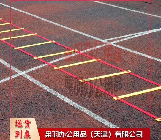 绳梯 敏捷梯 4米 单位：套-