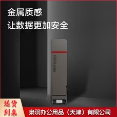 ThinkPlus联想 256G 双接口固态u盘高达500MB/S usb/type-c手机高速大容量办公优盘TU200Pro